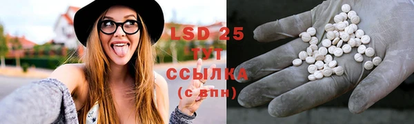 спиды Алексеевка