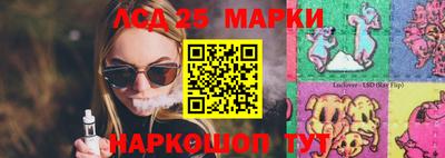 прущие грибы Нальчик