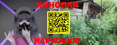 прущие грибы Нальчик