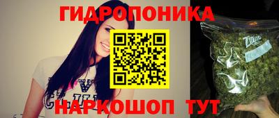 прущие грибы Нальчик