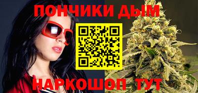 прущие грибы Нальчик