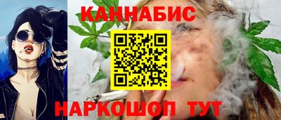прущие грибы Нальчик
