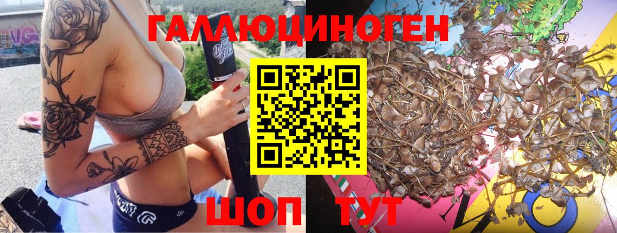 Геленджик  Псилоцибиновые грибы мухоморы  Вход с VPN 