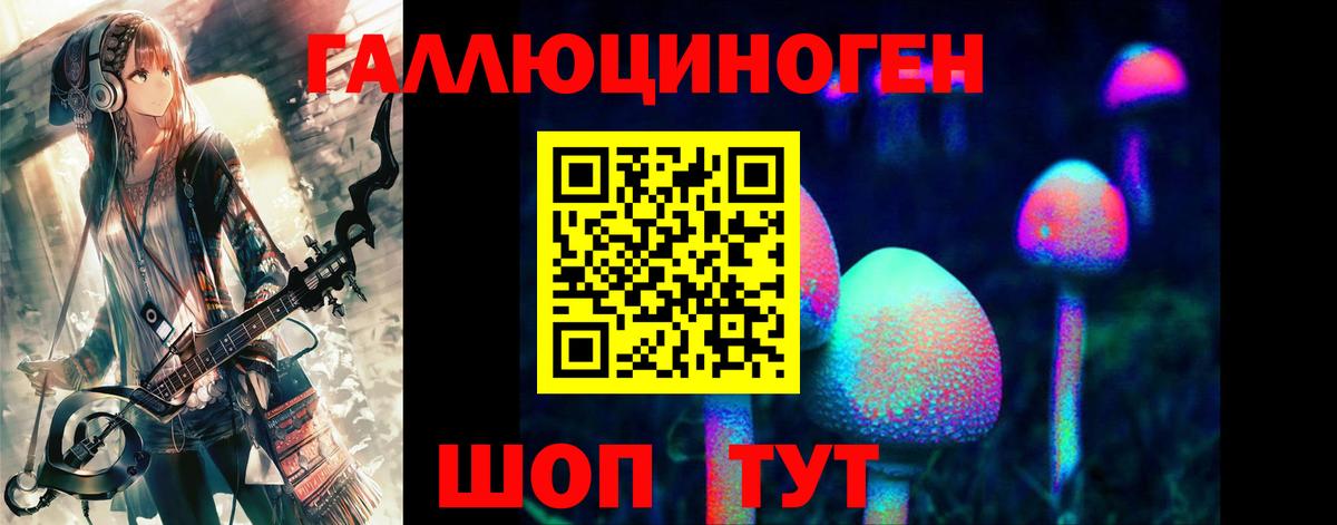 Псилоцибиновые грибы Psilocybe Геленджик