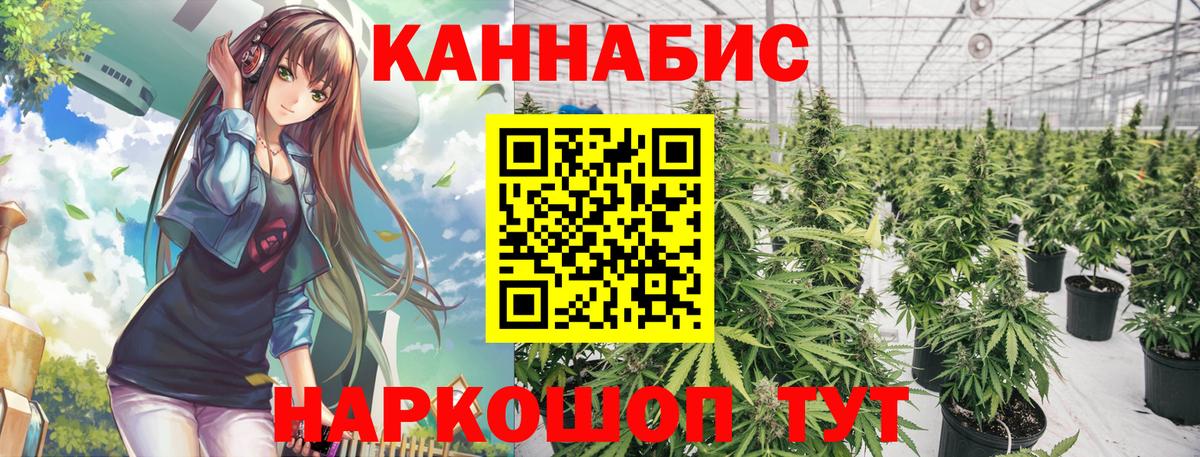 Каннабис конопля Геленджик